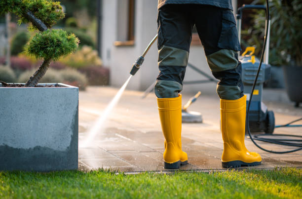 Best Pressure Washing Brick  in South Tucson, AZ